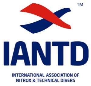 iantd logo