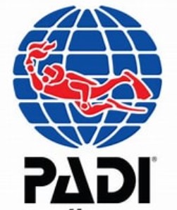 padi logo